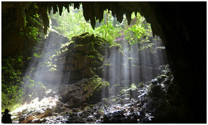 puerto rico camuy cave