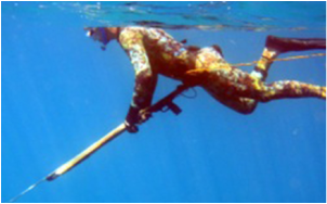 Puerto Rico Spearfishing